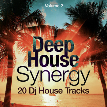 Various Artists - Deep-House Synergy, Vol. 2 (20 DJ House Tracks)