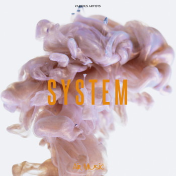 Various Artists - System