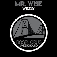 Mr. Wise - Wisely