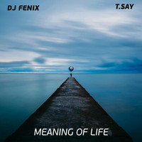 DJ Fenix - Meaning of Life (feat. T.Say)