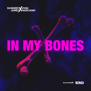 Sunnery James & Ryan Marciano - In My Bones
