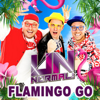 Unnormal - Flamingo Go