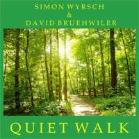 Simon Wyrsch & David Bruehwiler - Quiet Walk