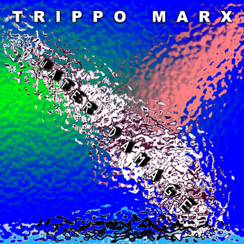 Trippo Marx - Water Damage (Explicit)