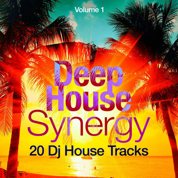 Various Artists - Deep-House Synergy, Vol. 1 (20 DJ House Tracks)