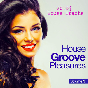 Various Artists - House Groove Pleasures, Vol. 3 (20 DJ House Tracks)
