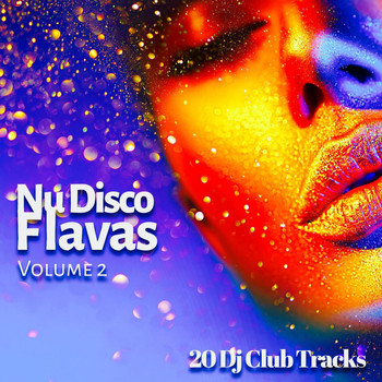 Various Artists - Nu Disco Flavas, Vol. 2 (20 DJ Club Tracks)