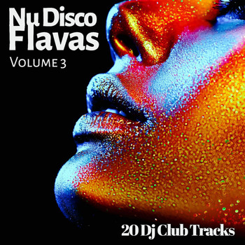 Various Artists - Nu Disco Flavas, Vol. 3 (20 DJ Club Tracks)