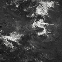 Untitled - Jungle