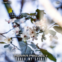 Norma Project - Touch My Spirit