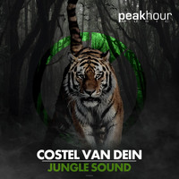 Costel Van Dein - Jungle Sound