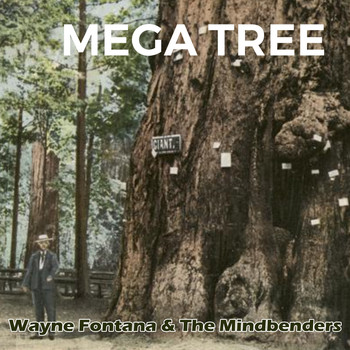 Wayne Fontana & The Mindbenders - Mega Tree
