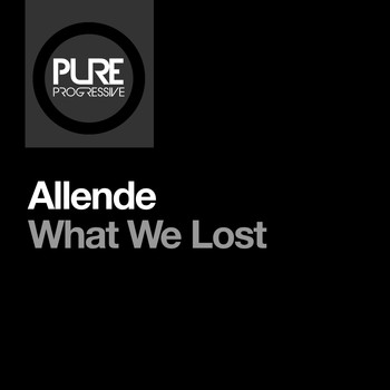 Allende - What We Lost