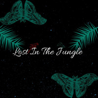 Designa - Lost in the Jungle