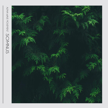 Alpha Wave Movement - Somnus