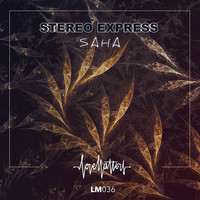 Stereo Express - Saha