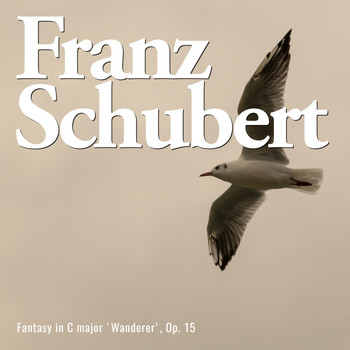 Franz Schubert - Fantasy in C major 'wanderer', op. 15 (Explicit)
