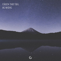 Catch The Tail - At Night