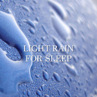 Rain Studios - Light Rain for Sleep
