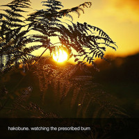Hakobune - Watching The Prescribed Burn