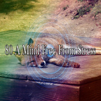 Dream Baby - 80 A Mind Free from Stress
