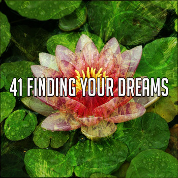 Yoga - 41 Finding Your Dreams