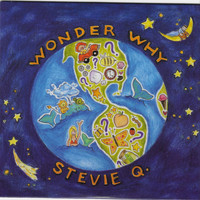 Stevie Q - Wonder Why
