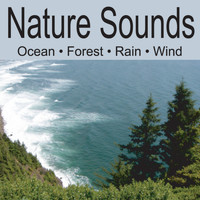 Nature Sounds Artists - Nature Sounds: Ocean Waves, Forest Sounds, Rain, Soft Breezes Wind