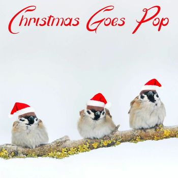 Various Artists - Christmas Goes Pop