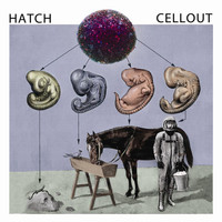 Hatch - Cellout