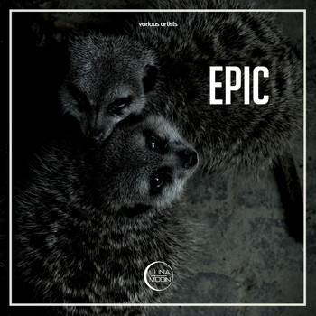 Various Artists - Epic