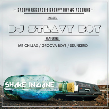 DJ Steavy Boy - Shake Ingane