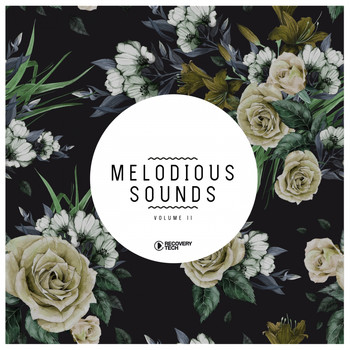 Various Artists - Melodious Sounds, Vol. 11