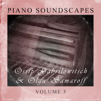 Camille Saint-Saëns - Piano SoundScapes Vol, 3