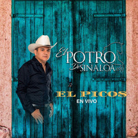 El Potro de Sinaloa - El Picos (En Vivo)