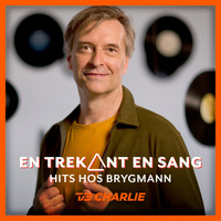 Martin Brygmann - En trekant en sang