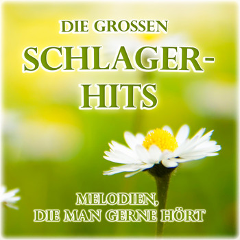 Various Artists - Die grossen Schlager-Hits (Melodien, die man gerne hört)