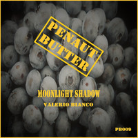 Valerio Bianco - Moonlight Shadow