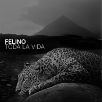 Felino - Toda la Vida