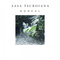 Boreal - Sasa Tsuboiana