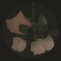 Doctor Boom - There's So Much More I Had To Say