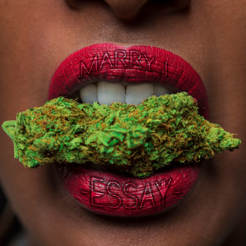 Essay - Mary J