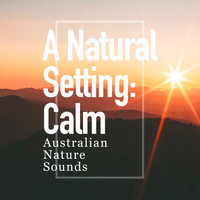 Australian Nature Sounds - A Natural Setting: Calm