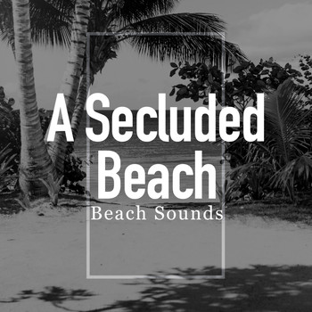 Beach Sounds - A Secluded Beach
