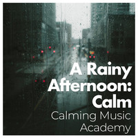 Calming Music Academy - A Rainy Afternoon: Calm
