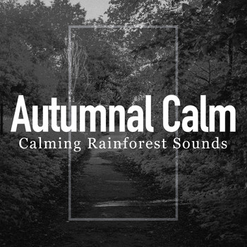 Calming Rainforest Sounds - Autumnal Calm