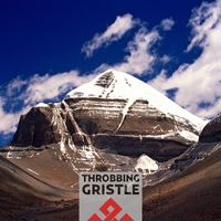 Throbbing Gristle - Part Two: The Endless Not