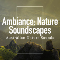 Australian Nature Sounds - Ambiance: Nature Soundscapes