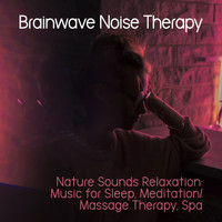 Nature Sounds Relaxation: Music for Sleep, Meditation/ Massage Therapy, Spa - Brainwave Noise Therapy