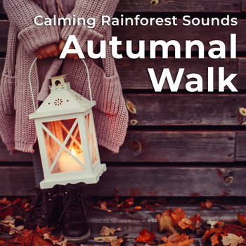 Calming Rainforest Sounds - Autumnal Walk